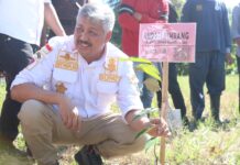 Bupati Pinrang Ikut Serta dalam Giat Gerakan Penanaman Bibit Buah yang Digelar Kejati Sulsel