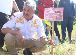 Bupati Pinrang Ikut Serta dalam Giat Gerakan Penanaman Bibit Buah yang Digelar Kejati Sulsel
