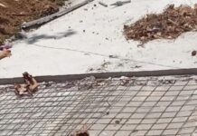 Dua Proyek Irigasi Pompengan Jeneberang Diduga Rugikan Negara