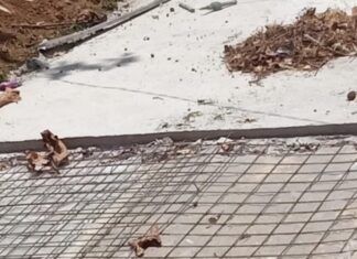 Dua Proyek Irigasi Pompengan Jeneberang Diduga Rugikan Negara