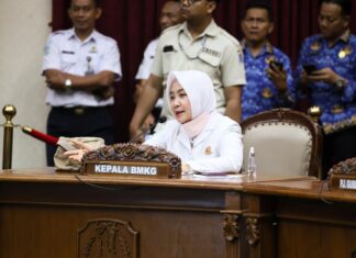 Malam Tahun Baru 2025, BMKG: InsyaAllah Cuaca Kondusif